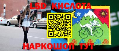 спайс Гагарин