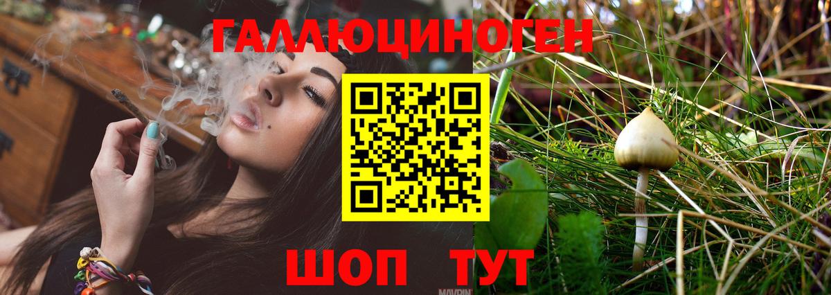 Галлюциногенные грибы прущие грибы  Вход с VPN  Севастополь  Галлюциногенные грибы GOLDEN TEACHER 